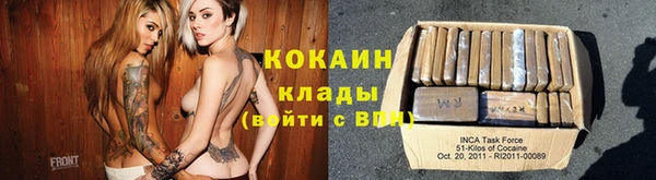 гашик Инта