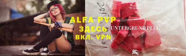 индика Фёдоровский
