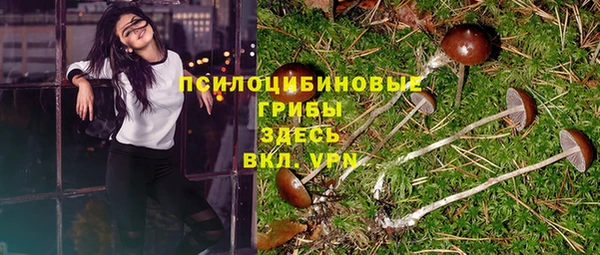стафф Зеленодольск