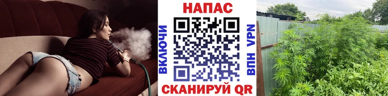 Шишки марихуана THC 21% Купить Ленск